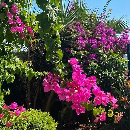 La Perla Beachfront 3 Bed Casares Costa Apartment *